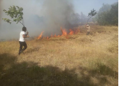 Mitteilung Waldbrände in Dersim
