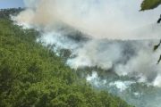 The devastating forest fires caused by the Turkish military forces threaten people and nature in the Eastern Anatolian city of Tunceli (Dersim)