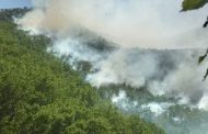 The devastating forest fires caused by the Turkish military forces threaten people and nature in the Eastern Anatolian city of Tunceli (Dersim)