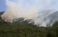 Terörle Mücadele Yöntemi: Dersim Orman Yangınları